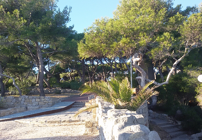 Image-3
